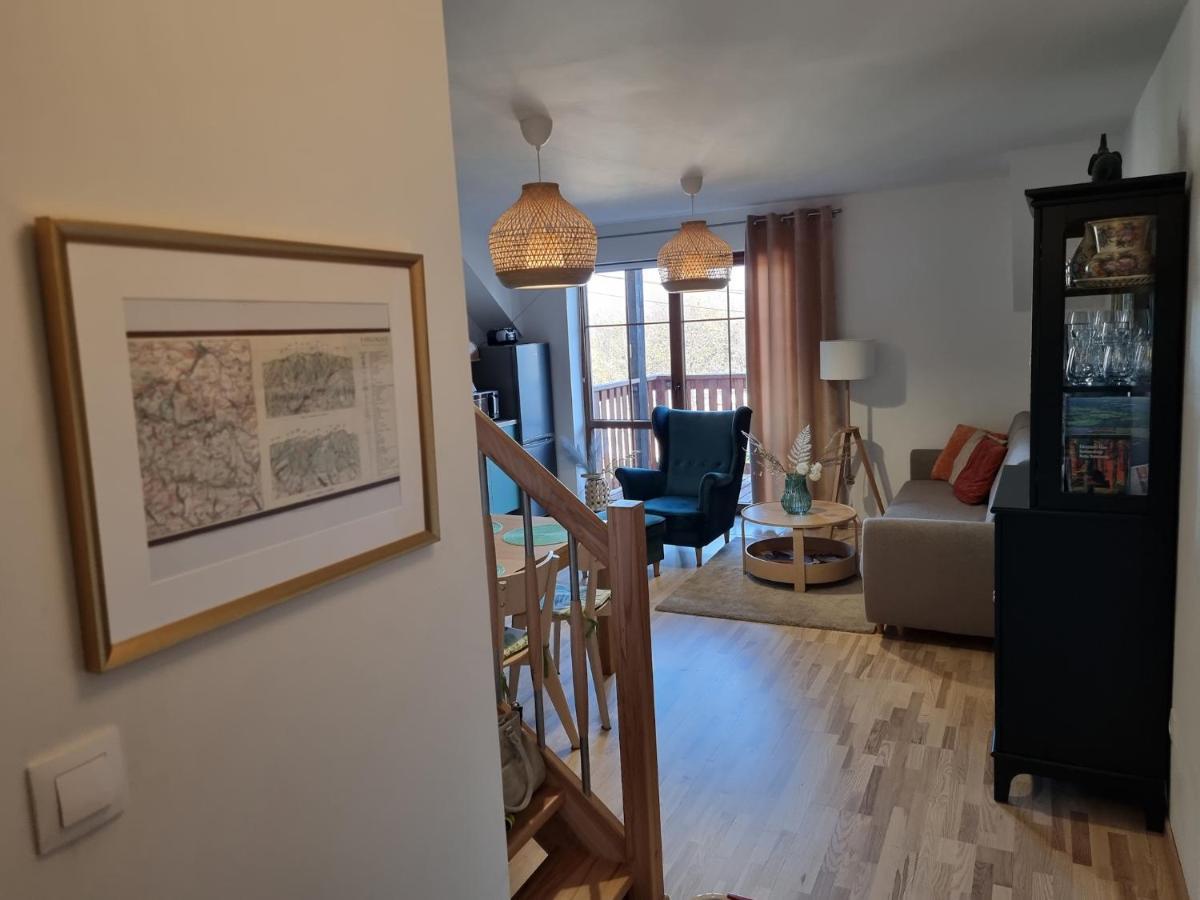 Uroczy Apartament U Mirki Podgórzyn 外观 照片